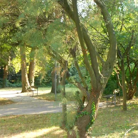 Medea Holiday home Rosolina Mare
